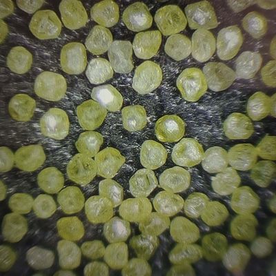 Промышленный синтетический алмаз микроновой пыли алмазный порошок с 30-дневной политикой возврата