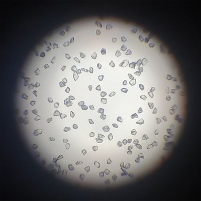 US Xinrui Mbd алмазный порошок синтетический R для алмазных инструментов 80.00cm * 50.00cm * 30.00cm
